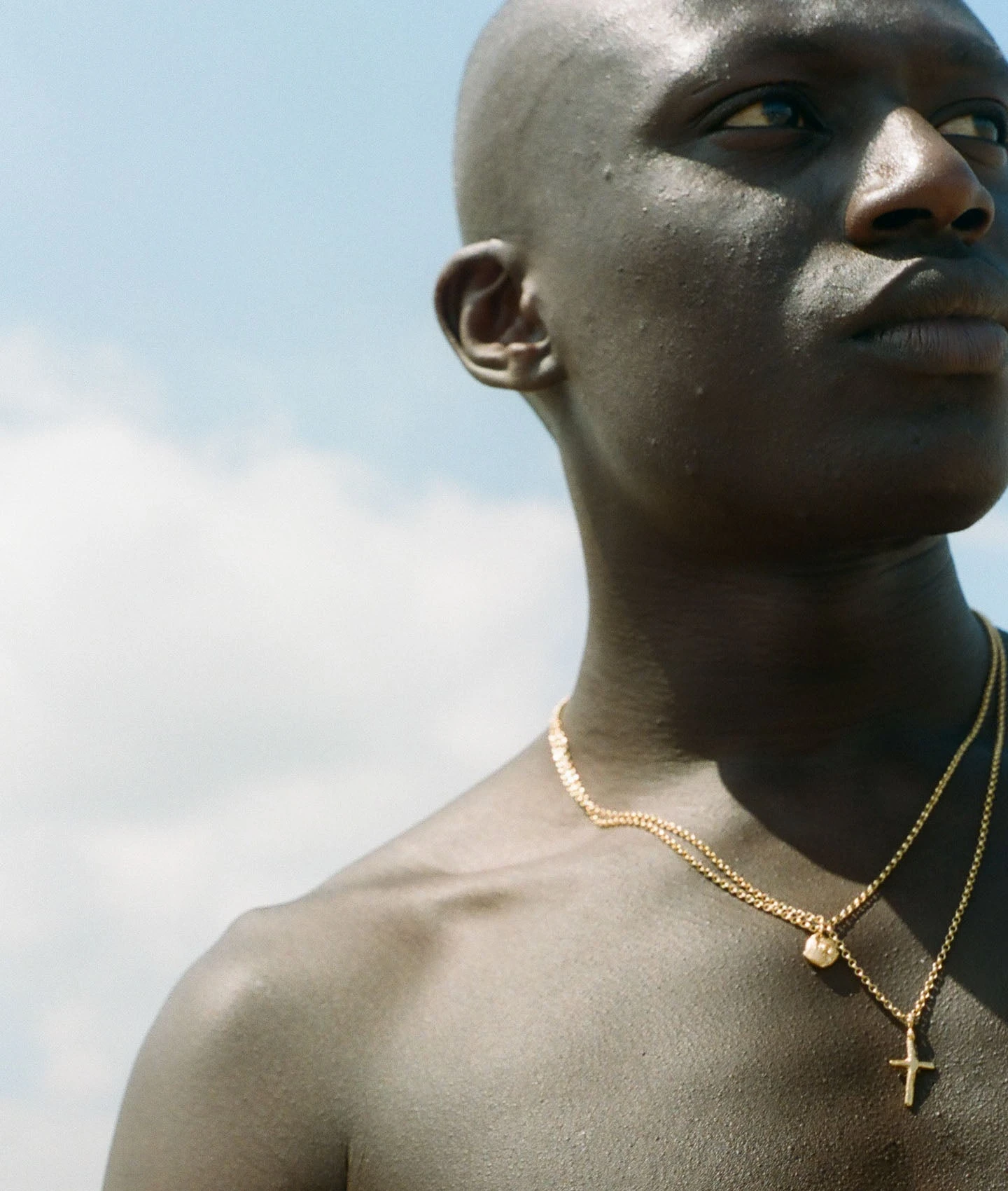 The Torch Of The Night - Image 2