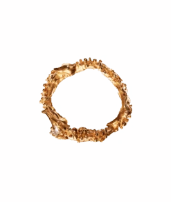 The Captured Magic Ring