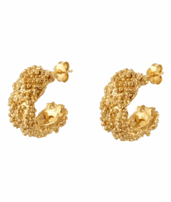 The Rocky Road Hoops