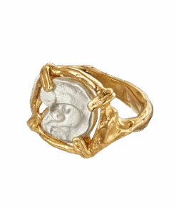 The Gilded Frame Ring