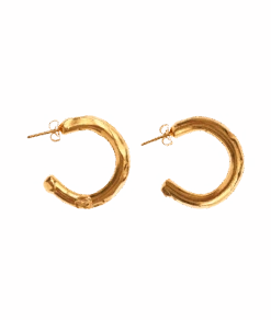 The Etruscan Reminder Hoops